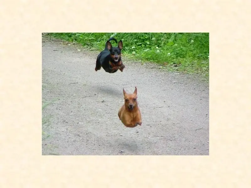 Slide18.webp