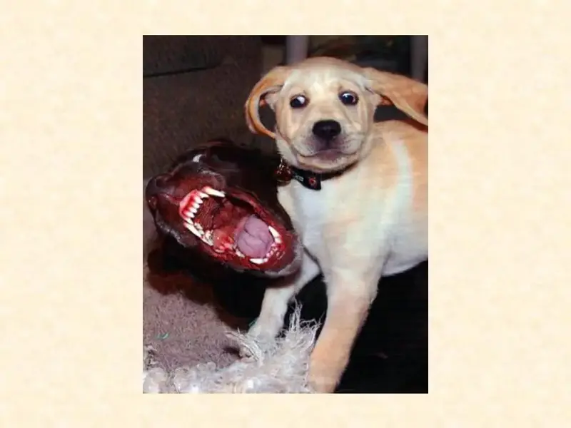 Slide21.webp