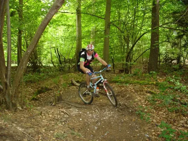 thetford-022.webp