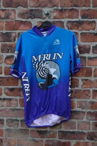 Merlin.webp