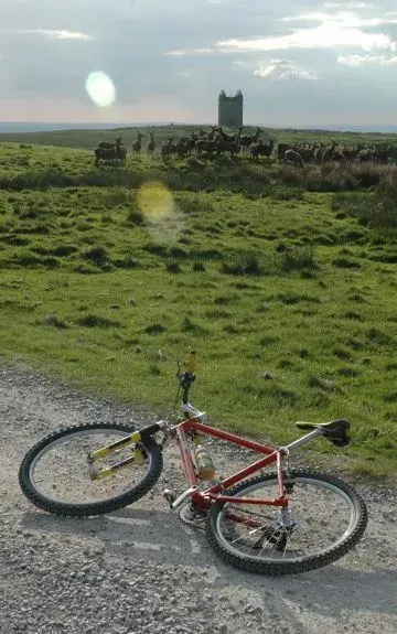 Lyme Park.webp