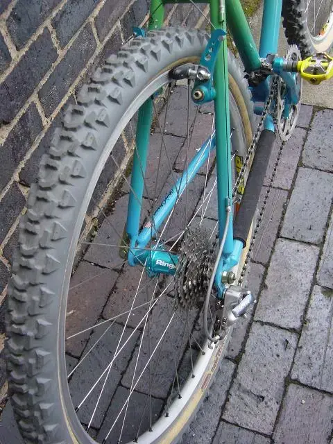 rear.webp