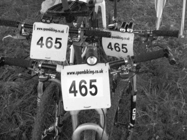 Numbers.webp