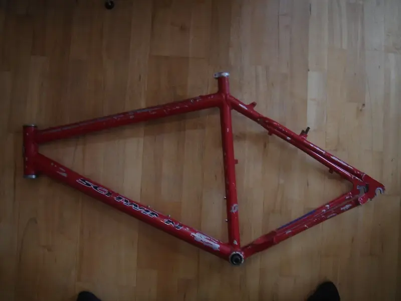 Schwinn1.webp