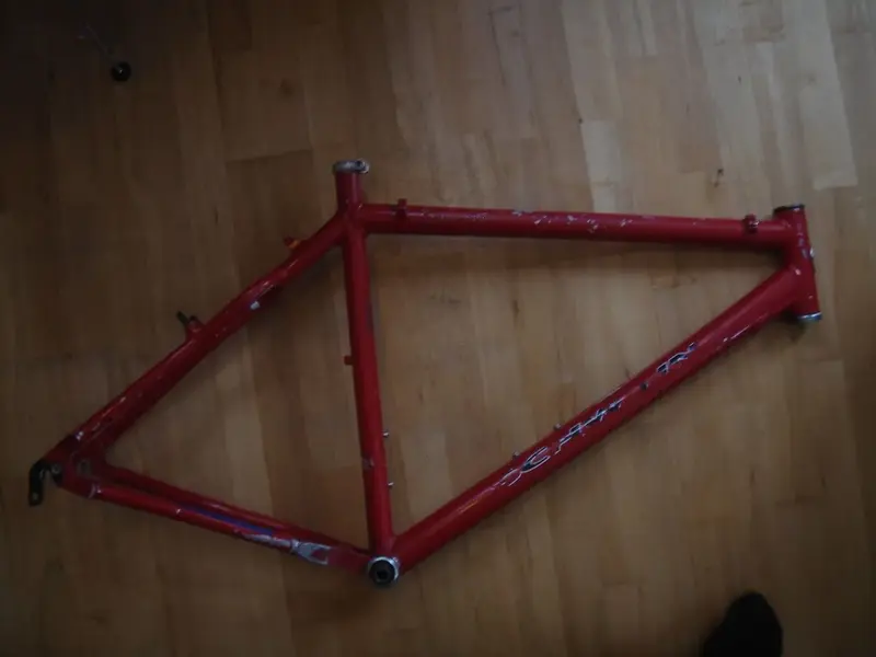 Schwinn2.webp