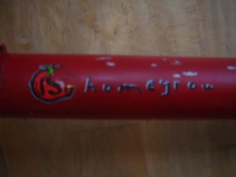 Schwinn3.webp