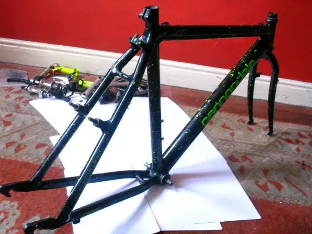 Picture 030.webp