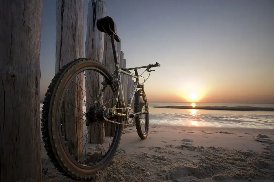 beach view.webp