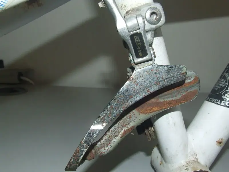 DSCF1242_resize.webp
