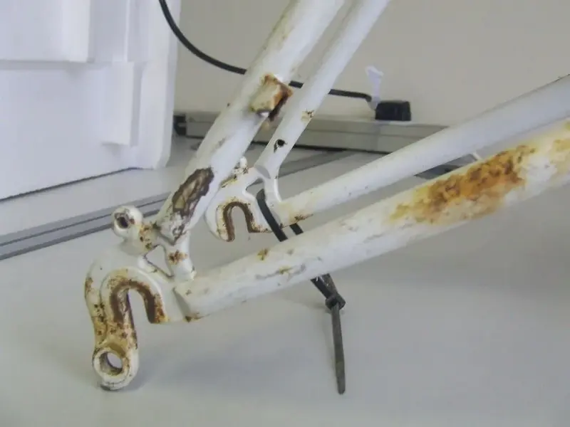 DSCF1243_resize.webp