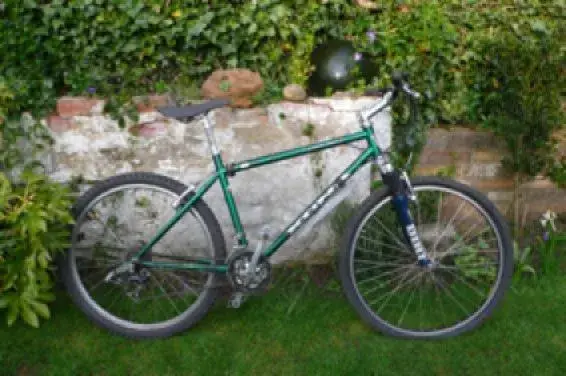 kona old.webp