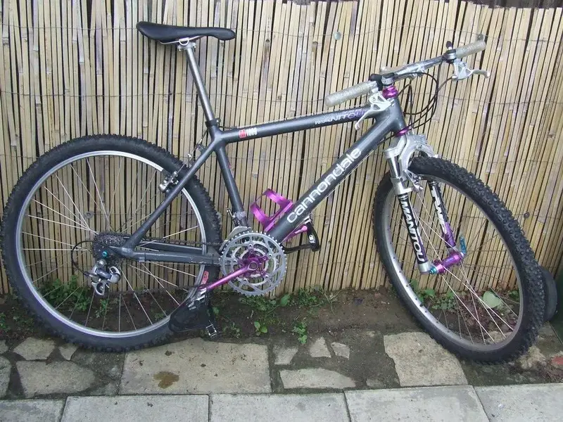 DSCF1224.webp