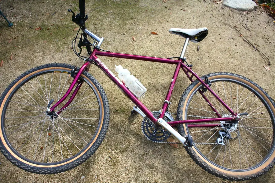 Fat Ride 1 web.webp