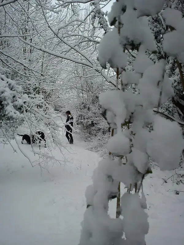 IMG_20130118_085947.webp