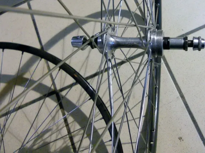 dscn9556d.webp