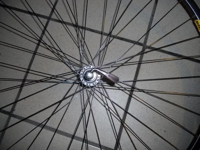 dscn9560g.webp