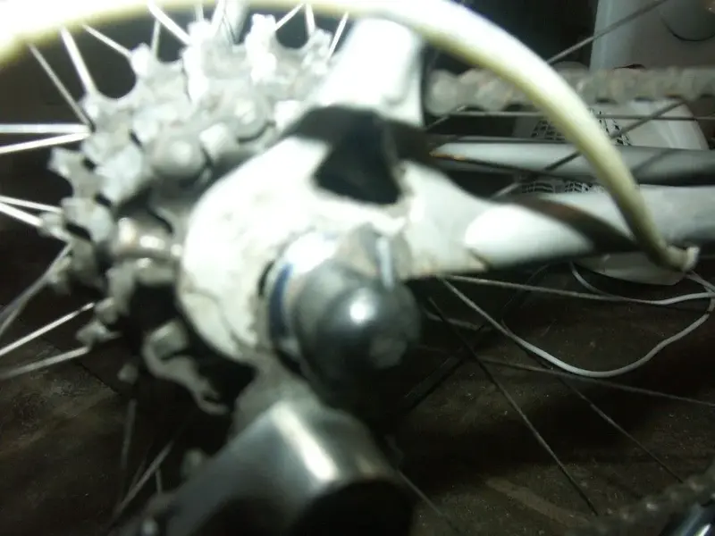 PICT0005 (Medium).webp