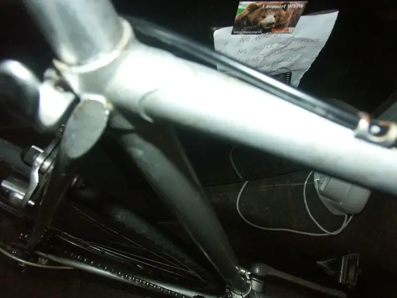PICT0002 (Medium).webp