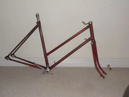 lizzie's bike.webp