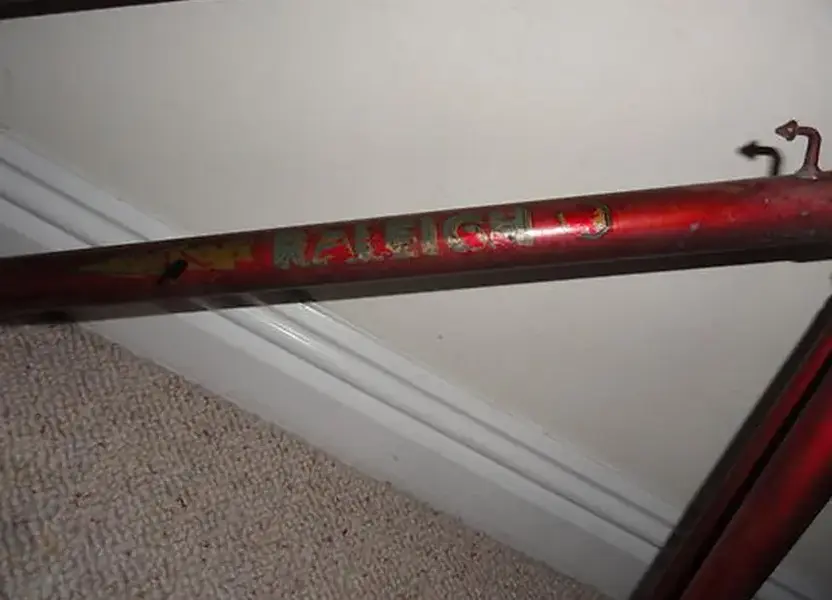 Raleigh.webp
