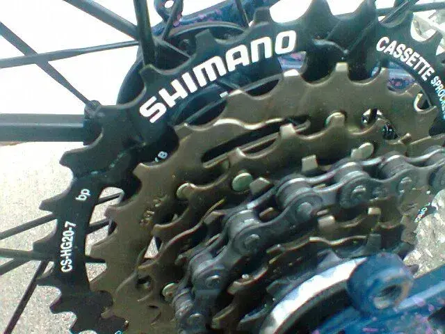 Photo0502.webp