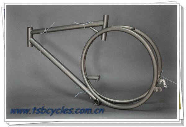 china_MTB_titanium_mountain_bike_frame.jpg