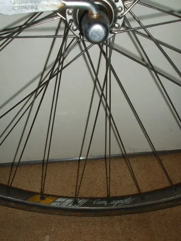 wheel6.webp