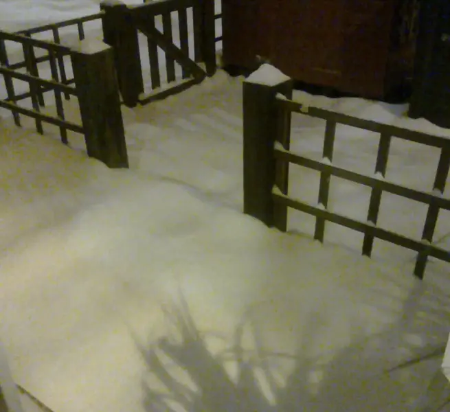 Photo0040_001.webp