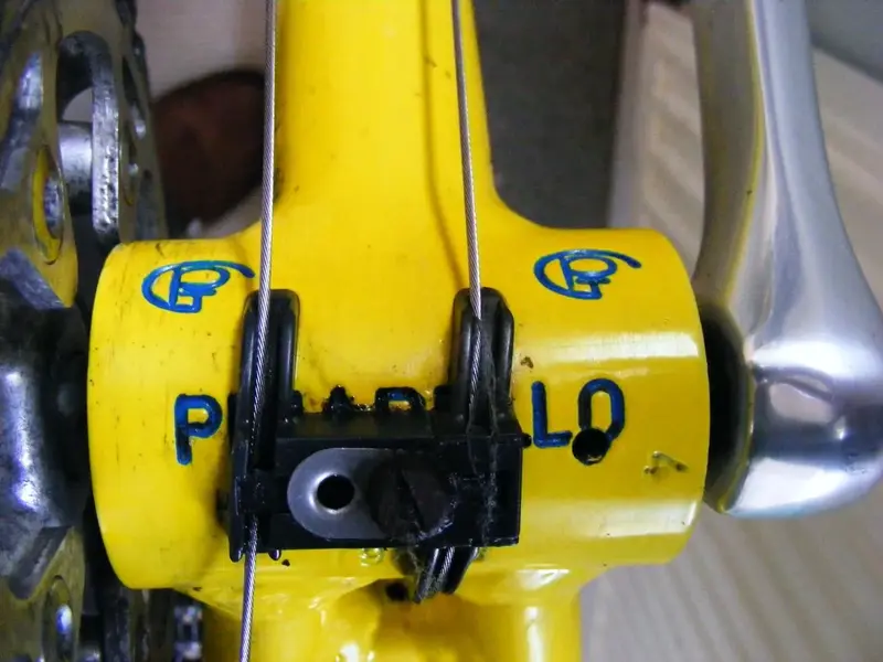 pina more details1.webp