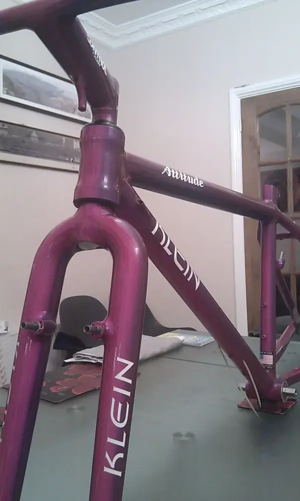 IMAG5120.webp