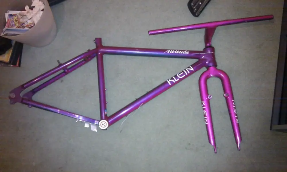 IMAG5123.webp