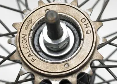 freewheel_293w.webp