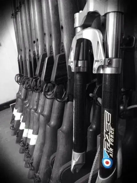 Recoil Forks & Rifles.webp
