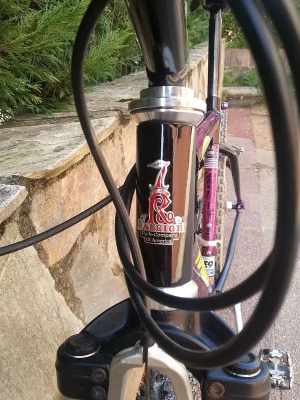 Raleigh Peak 4pk.webp