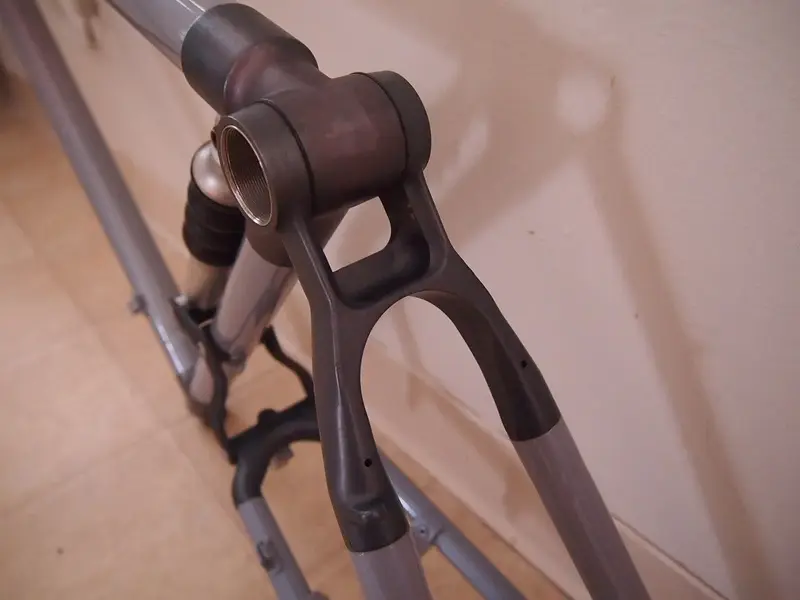 P8205582.webp