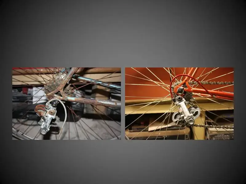 Slide4.webp