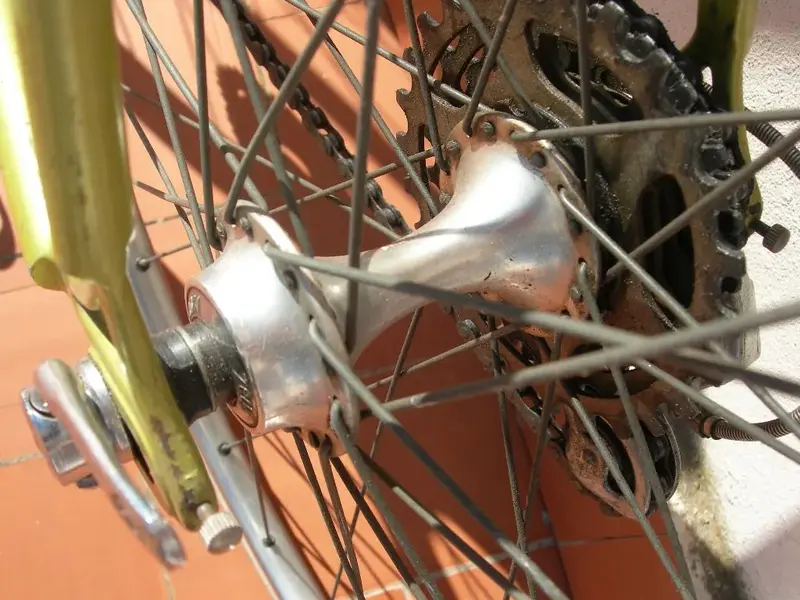 DSCN9988.webp