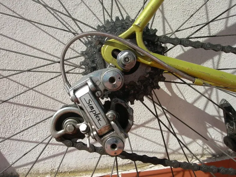 DSCN9981.webp