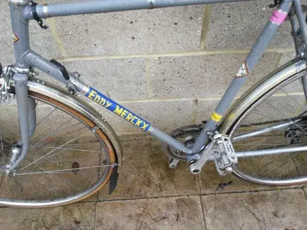 merckx 2.webp