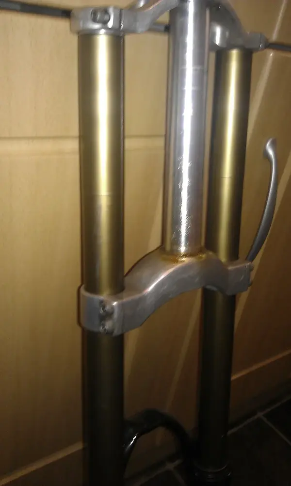 IMAG0631.webp