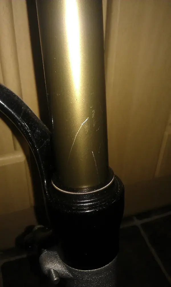 IMAG0632.webp