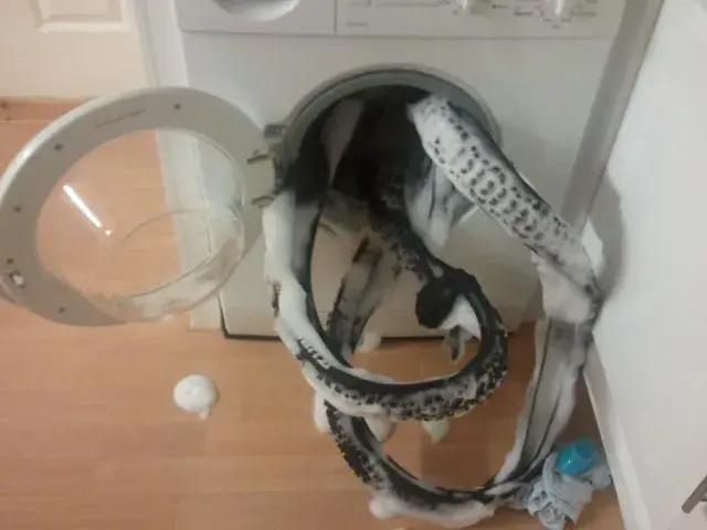 LAUNDRY...webp