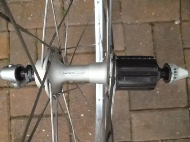 Raleigh Dynatech 2038.webp