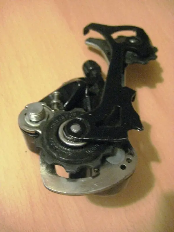 image.webp
