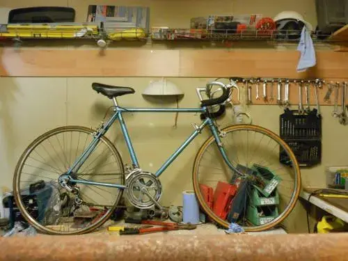 raleighbikecrop.webp