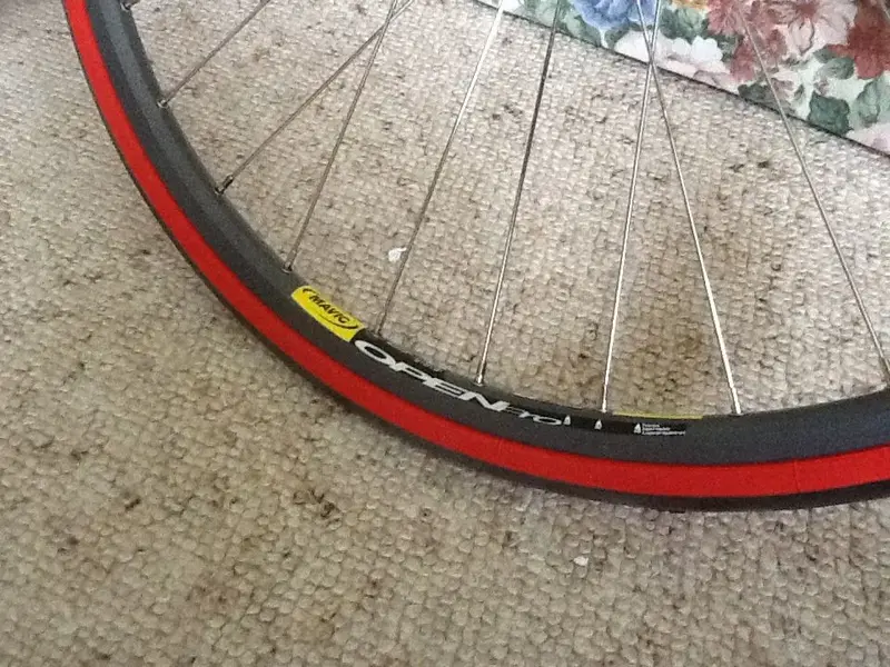 mavic rims.webp