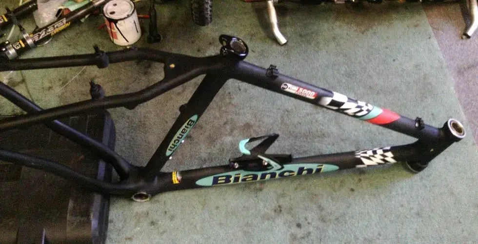 Frame Bianchi1.webp