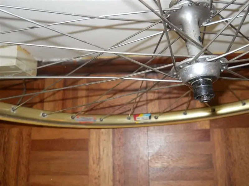 W 044 (Large).webp