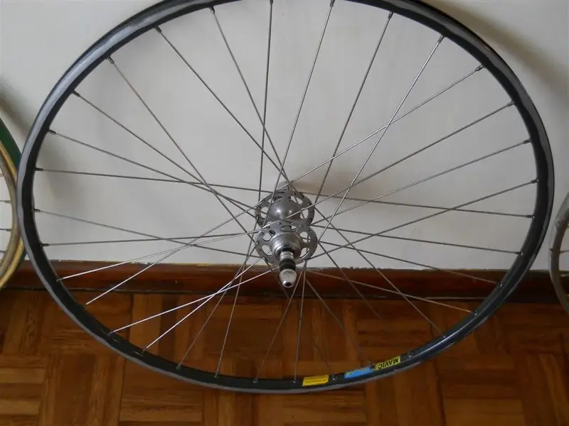 W 041 (Large).webp
