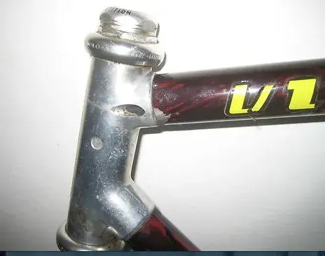 Vitus .webp